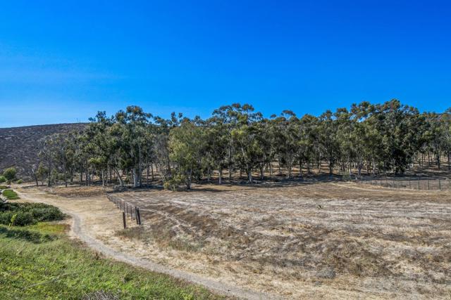 2547 N Trail Court, Chula Vista CA: https://media.crmls.org/mediaz/86178c9c-4936-4ecf-9ef0-543bfc94825f.jpg