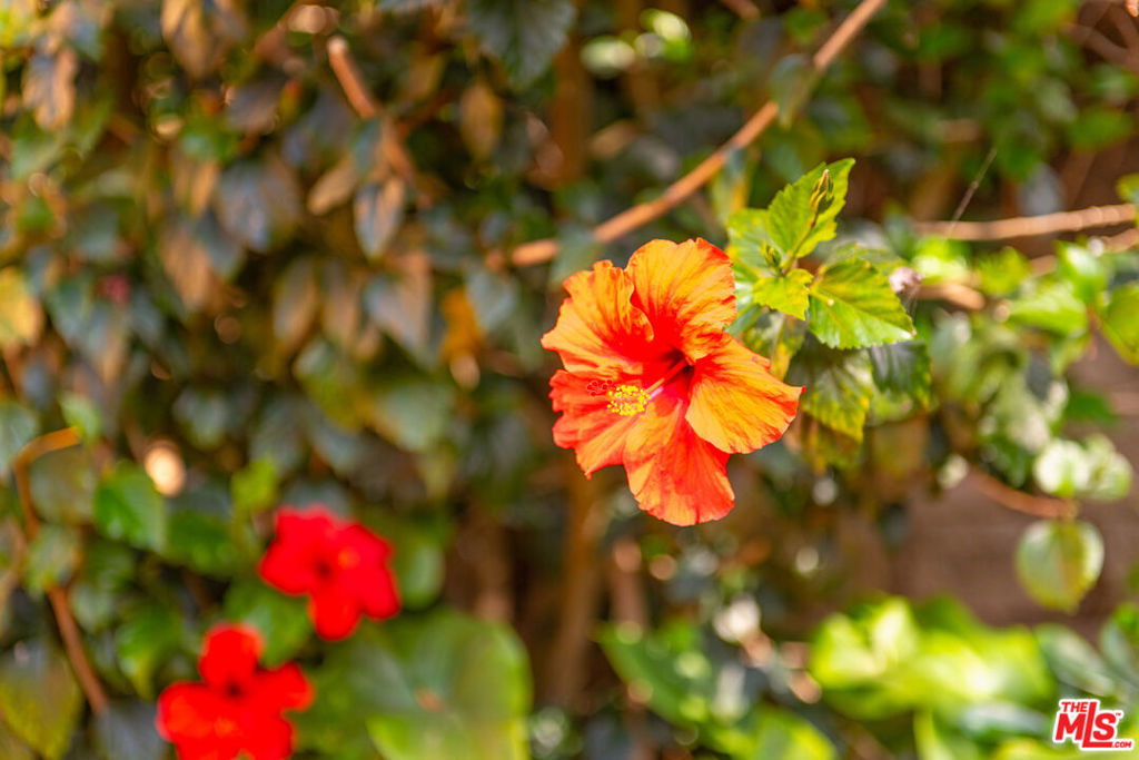 https://media.crmls.org/mediaz/86207b39-6d06-4ab1-aebf-ae309ccf4b45.jpg?preset=X-Large