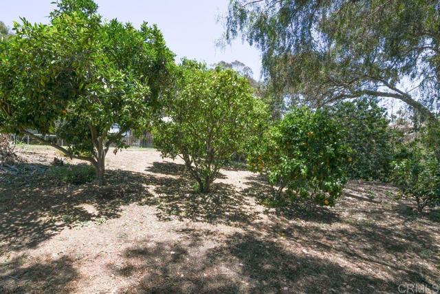 MLS #NDP2506700 image #34