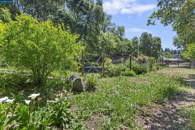 53 Tara Rd, Orinda CA: https://media.crmls.org/mediaz/863402db-009d-49ad-8d7f-9f37127a50f7.jpg