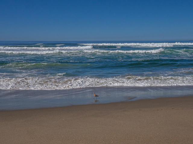 372 Oceanview Drive, La Selva Beach CA: https://media.crmls.org/mediaz/86365dc1-8405-4483-b52b-c861d6df847d.jpg