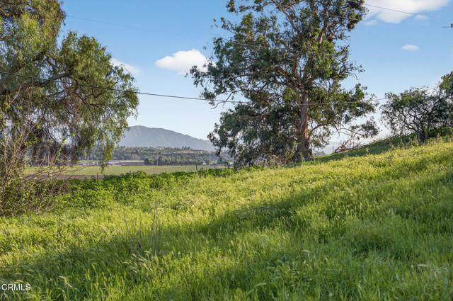 Detail Gallery Image 16 of 17 For 5054 Dodson St, Somis,  CA 93066 - 3 Beds | 2 Baths