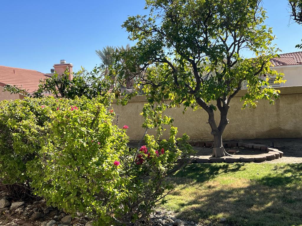 MLS #219139057PS image #27