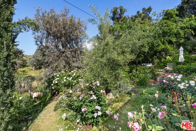 20666 Cheney Drive photo 3