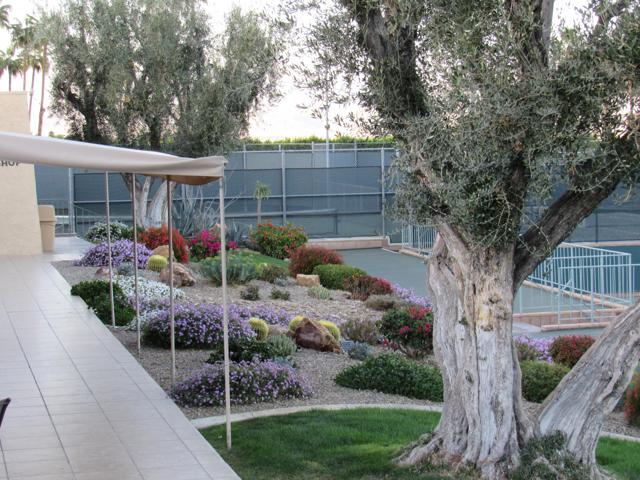 48440 Racquet Lane, Palm Desert CA: https://media.crmls.org/mediaz/86586af2-989b-4dbb-bfae-0e17c3f55ae8.jpg
