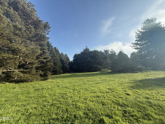 31750 Pudding Creek Road, Fort Bragg CA: https://media.crmls.org/mediaz/8665e0c3-639b-4b48-84af-277319a1fd7a.jpg