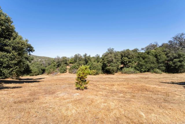 Detail Gallery Image 47 of 72 For 25770 East Grade Rd, Santa Ysabel,  CA 92070 - 2 Beds | 2 Baths