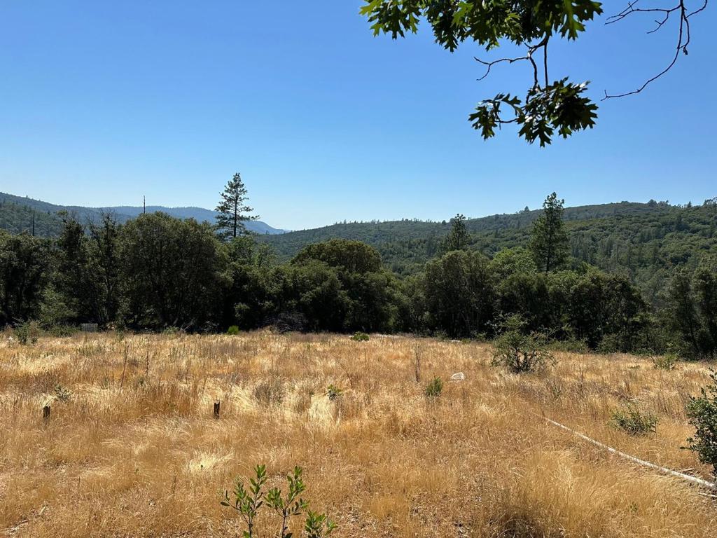 MLS #ML81974509 image #6