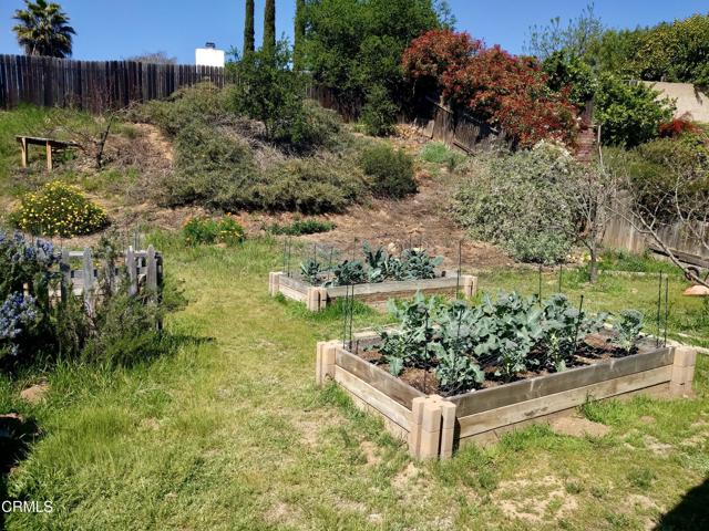 11881 Silver Spur Street, Ojai CA: https://media.crmls.org/mediaz/8677c725-fc91-4c5b-b091-269542650f43.jpg