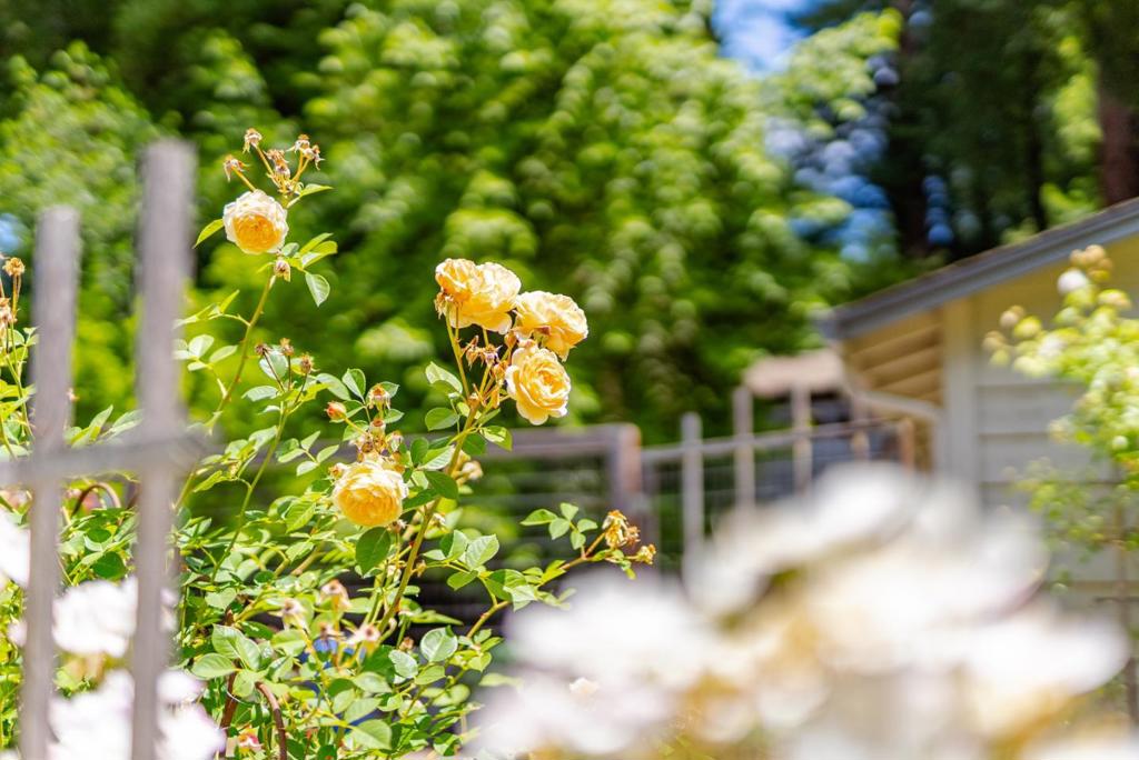 https://media.crmls.org/mediaz/867b5987-825e-484b-90f8-44d6e0d22cfb.jpg?preset=X-Large