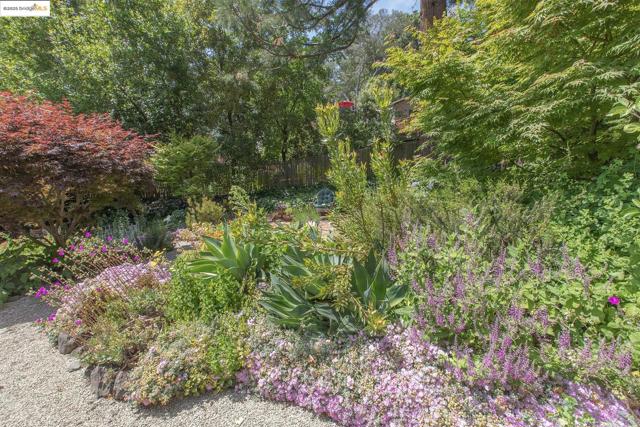 1081 Keith Ave, Berkeley CA: https://media.crmls.org/mediaz/867c0955-3d55-4874-ac00-e0c0b36f7f3f.jpg
