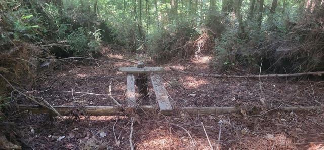 1080 Blue Ridge Drive, Boulder Creek CA: https://media.crmls.org/mediaz/8684543a-a697-41c7-9af0-83bfd3610029.jpg