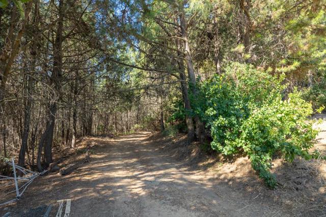 924 Croy Ridge Road, Gilroy CA: https://media.crmls.org/mediaz/868565ca-b3ef-4843-b8e6-c691de119307.jpg
