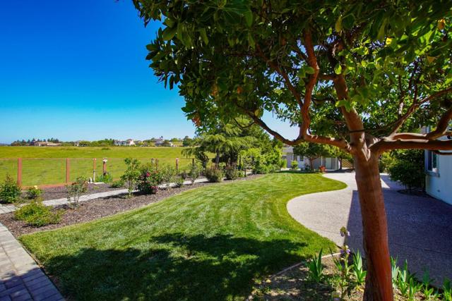 334 Paseo Gularte, San Juan Bautista CA: https://media.crmls.org/mediaz/8697339f-d178-46ef-b293-826c3eaa89c8.jpg