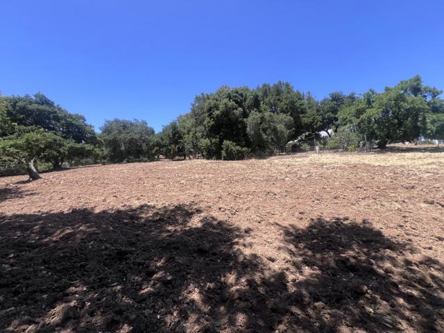 13217 Padero Court, Saratoga CA: https://media.crmls.org/mediaz/86aedfce-55aa-4ca0-bfd9-4fd0aa51c614.jpg