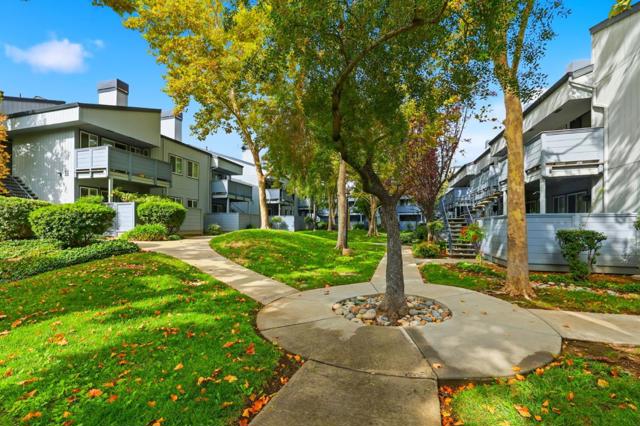 4814 Pine Forest Place, San Jose CA: https://media.crmls.org/mediaz/86b3dd58-a82b-464c-9c31-6beb9acb6496.jpg