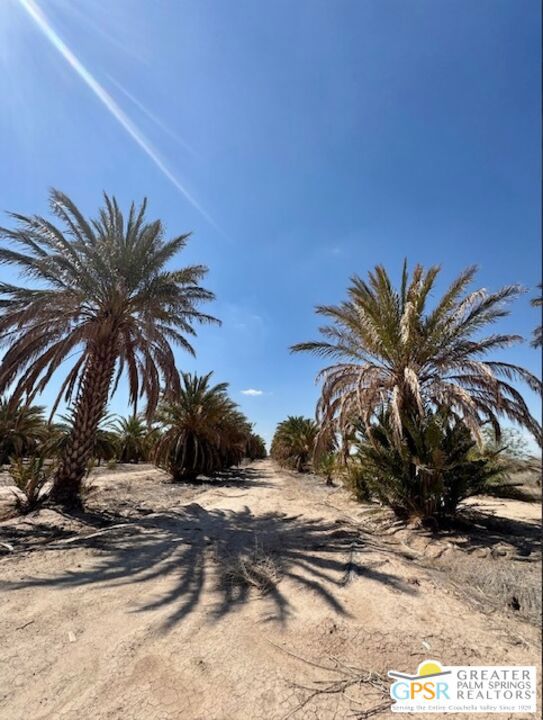 0 Noffsinger, Niland CA: https://media.crmls.org/mediaz/86b4bd96-11c3-4417-837a-d4d74354e3c6.jpg