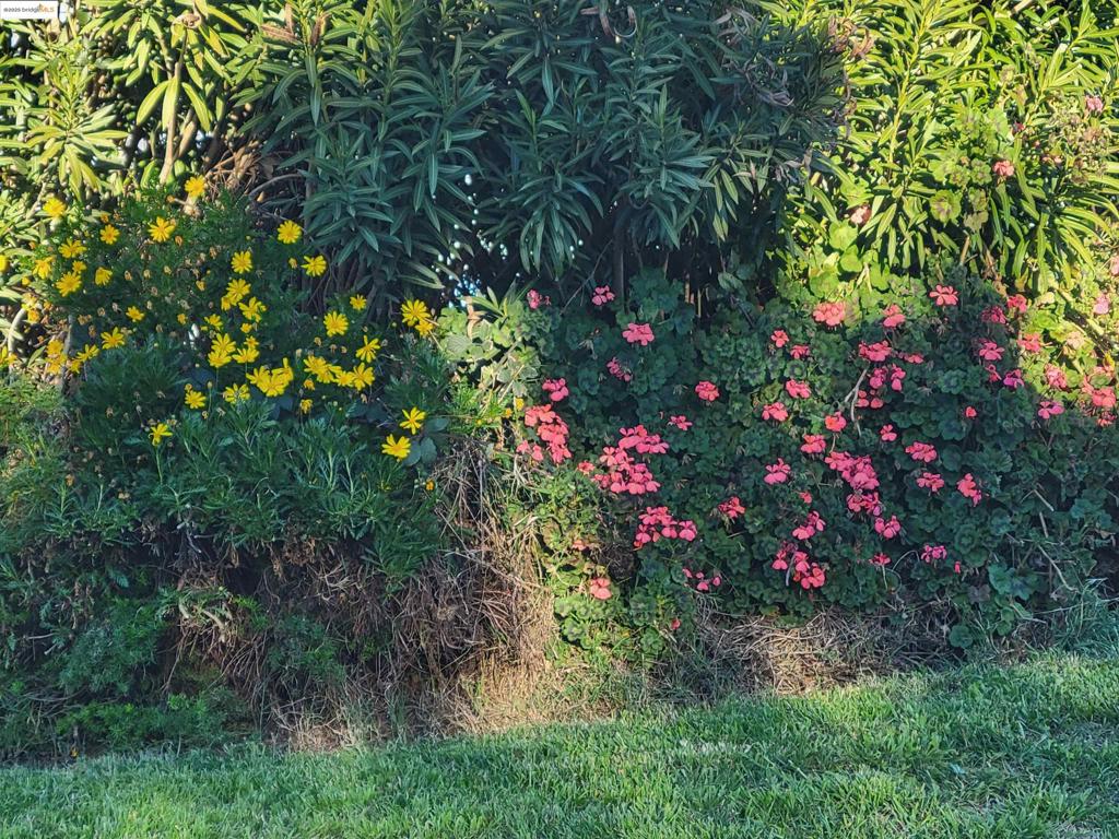 https://media.crmls.org/mediaz/86b60e8c-c7de-4b38-9bc7-bfbba77391a2.jpg?preset=X-Large