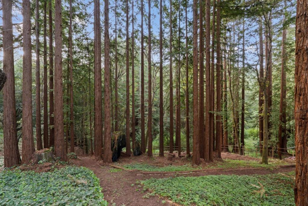 https://media.crmls.org/mediaz/86b67bf1-135a-48be-9074-4b81a7e374b0.jpg?preset=X-Large