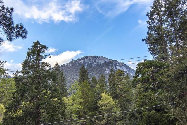 Image 2 for 24924 Fern Valley Rd, Idyllwild, CA 92549