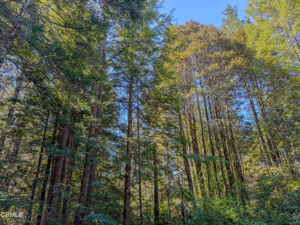 https://media.crmls.org/mediaz/86c2e9a7-d611-42eb-9e87-ad388378af33.jpg?preset=X-Large