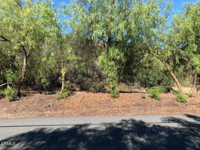 Detail Gallery Image 3 of 3 For 0 S Skyline Dr, Thousand Oaks,  CA 91361 - – Beds | – Baths