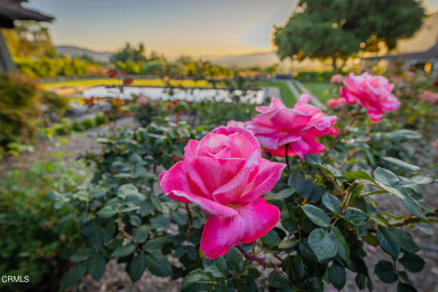 Detail Gallery Image 39 of 67 For Address Is Not Disclosed, Ojai,  CA 93023 - 7 Beds | 5/1 Baths