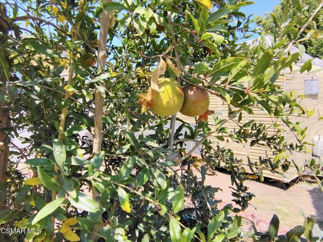 1663 Anderson Street, Simi Valley CA: https://media.crmls.org/mediaz/86dde9dc-435d-446e-a5e1-2d7b5b4062e0.jpg