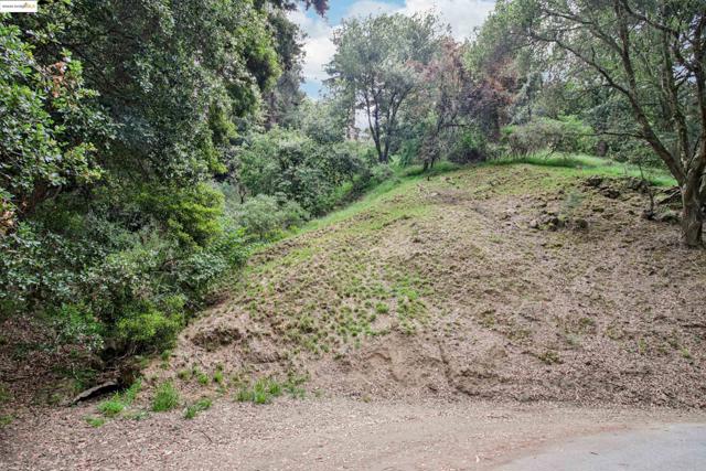0 Girvin Dr, Oakland CA: https://media.crmls.org/mediaz/86df95e9-cde3-4427-ab6a-1d54000c7055.jpg