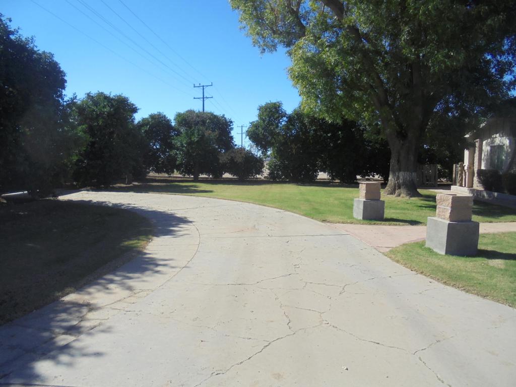 MLS #219137750DA image #8