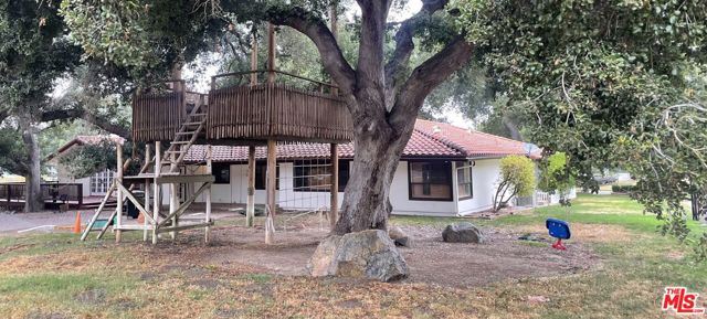 Backyard with Treehouse