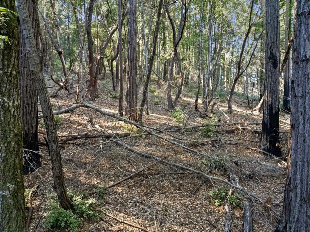 MLS #ML81986063 image #20