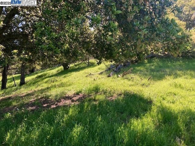 0 Wanda Way, Martinez CA: https://media.crmls.org/mediaz/86fd9a24-4eb7-4069-bf2b-66c8014846eb.jpg