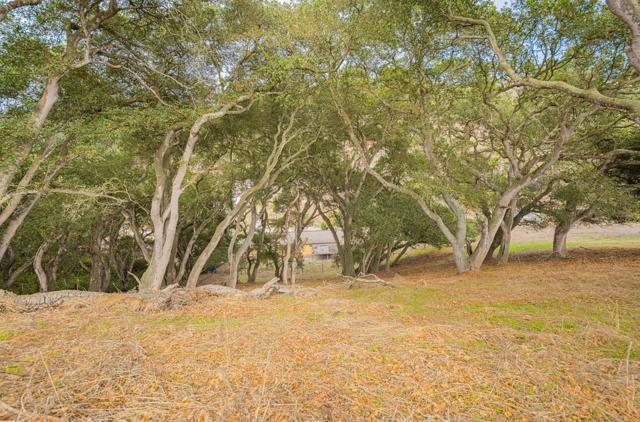 15108 Castroville Boulevard, Castroville CA: https://media.crmls.org/mediaz/87040503-f350-4b8e-a7d3-e894f971757f.jpg