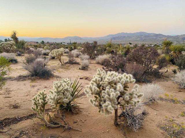 Image 2 for 0 Agave Rd, Joshua Tree, CA 92252