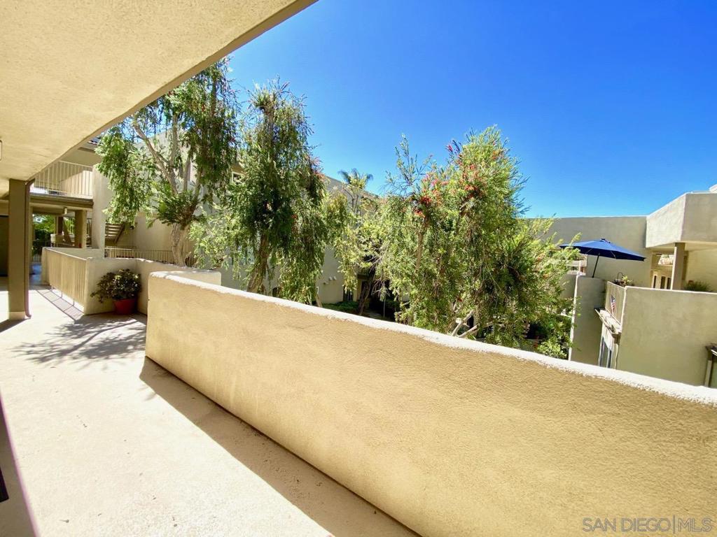 13754 Mango - photo 19
