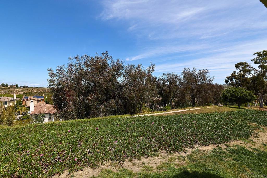 1972 Swallow Lane - photo 20