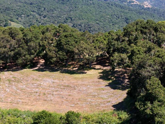 4 Holding Field Run, Carmel CA: https://media.crmls.org/mediaz/871eaf9b-bbaf-4260-ab40-2e546fa36156.jpg