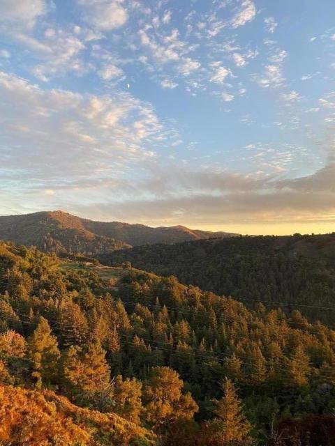 37783 Palo Colorado Road, Carmel CA: https://media.crmls.org/mediaz/872656ca-9876-4210-96f2-c406c9be8660.jpg