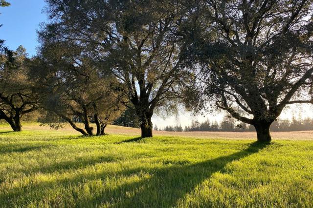 3980 Bonny Doon Road, Santa Cruz CA: https://media.crmls.org/mediaz/8726b0b7-f94b-43eb-b34d-0264a949ad8a.jpg