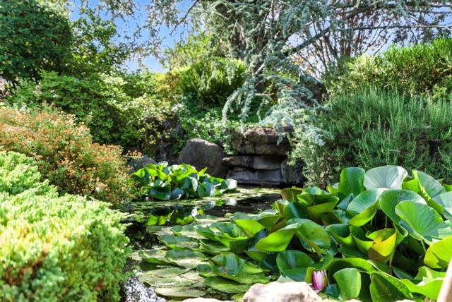 24616 Miller Hill Road, Los Gatos CA: https://media.crmls.org/mediaz/8730b7ce-7f25-48b1-87b5-cb8aef20e7a5.jpg