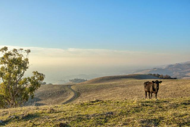 0 Bella Madeira Lane, San Jose CA: https://media.crmls.org/mediaz/87320eff-01b5-4e65-afa1-510ed095acd8.jpg