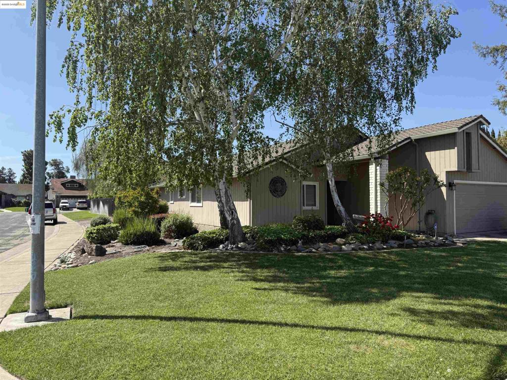 1006 Shadow Creek Dr