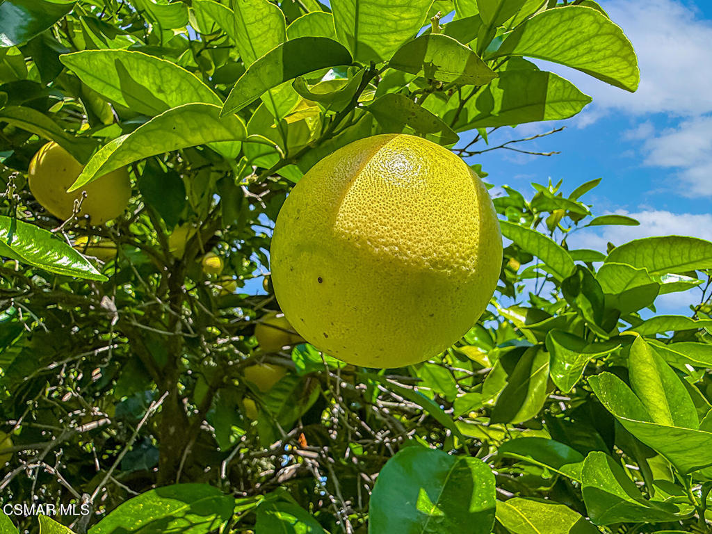 https://media.crmls.org/mediaz/87384c46-f202-4d84-9769-55deecd18b19.jpg?preset=X-Large