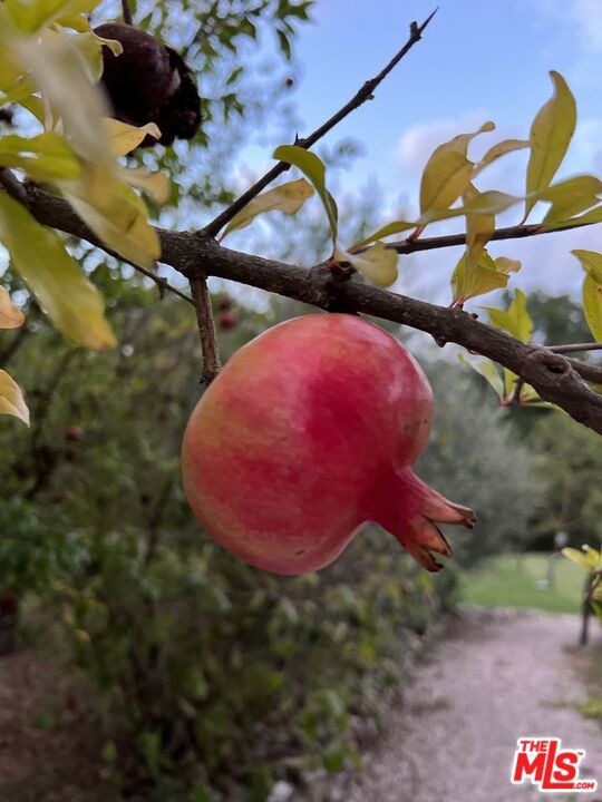 10 Via San Lorenzo, Umbria, ITALY,  CA: https://media.crmls.org/mediaz/873bcad7-88d7-456c-a0e6-d219eaa29b6e.jpg
