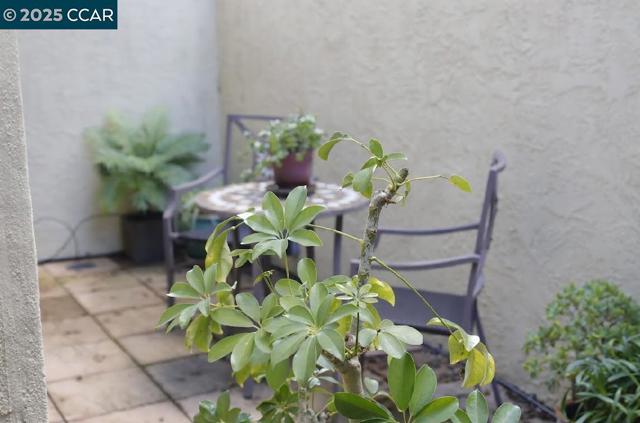 847 Maison Way, Richmond CA: https://media.crmls.org/mediaz/876273ef-90cf-4484-8a1a-b35adadc150d.jpg