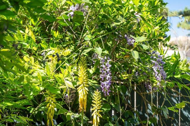 Image 34 of 75 For 6960 Caminito Curva