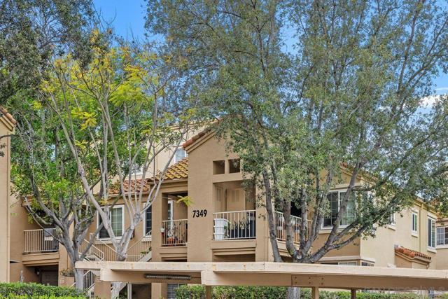 7349 Calle Cristobal, San Diego CA: https://media.crmls.org/mediaz/8772cf52-6e4d-4e07-a9b0-7f27cf4c8da5.jpg