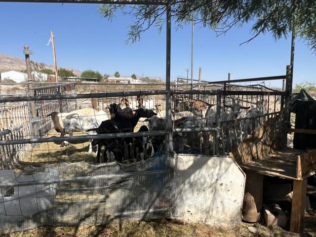 21130 Hot Springs Road, Desert Hot Springs CA: https://media.crmls.org/mediaz/87747726-4bb3-4414-b06f-11c406106cec.jpg