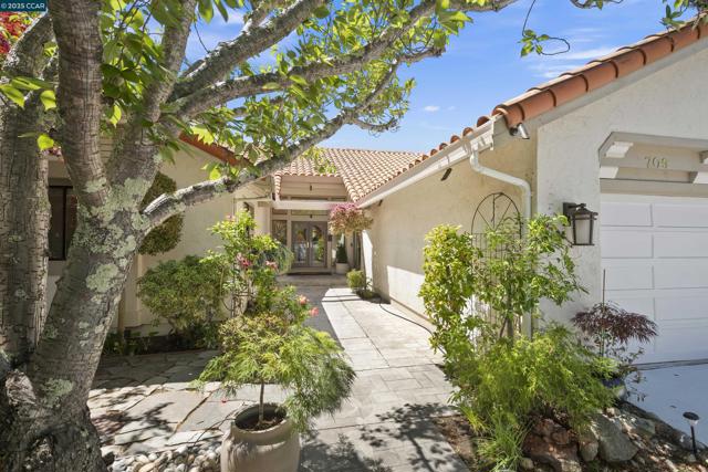 709 Liquidamber Pl, Danville CA: https://media.crmls.org/mediaz/877c9a0c-9d9c-49f2-bc9f-d2916b201a33.jpg